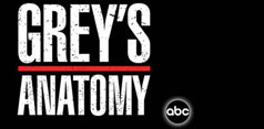 Anatomia lui Grey: Sezonul 8 + Video
