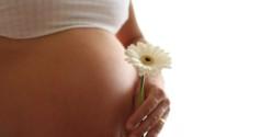 6 Mituri Medicale Despre Fertilitate